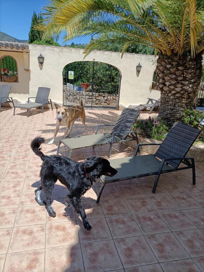 Villa Lobos Lliber エクステリア 写真